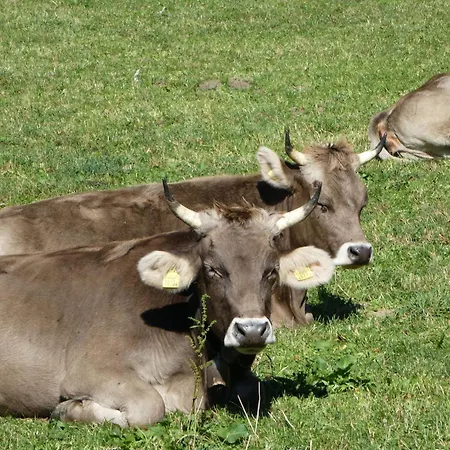 Steinideen Meiringen