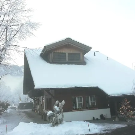 Steinideen *